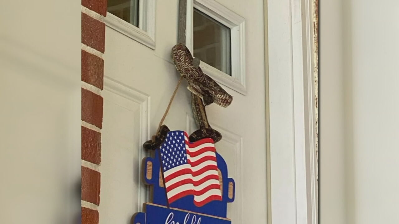 SNAKE BITES KY WOMAN IN FACE - 6-22-2022  (2).jpeg